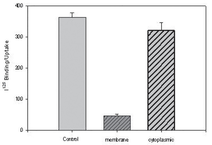 figure 6a