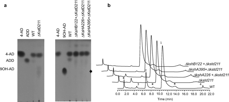 Fig. 4