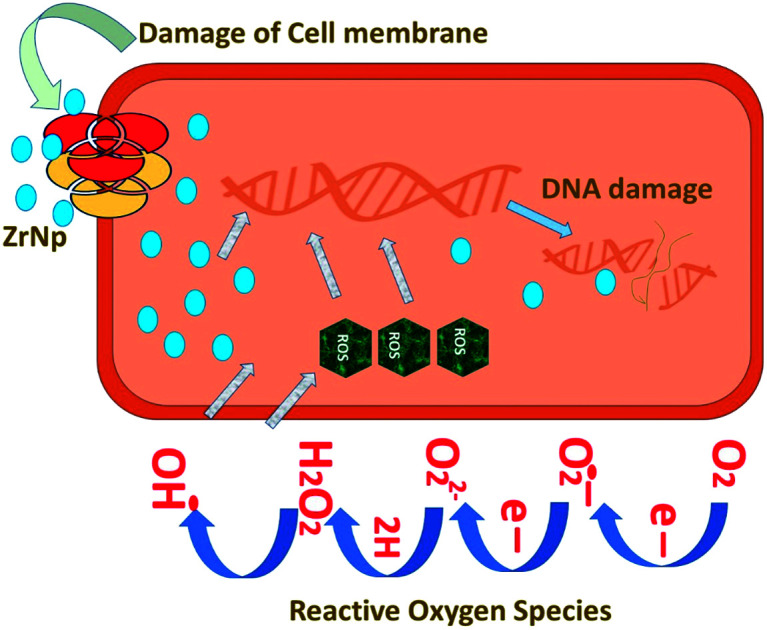 graphic file with name d2ra00006g-ga.jpg