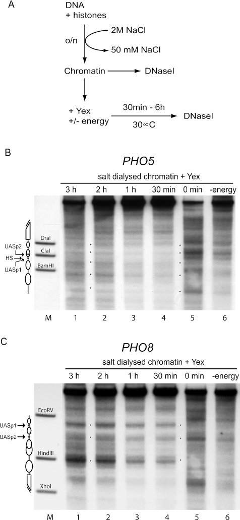 FIG. 5.