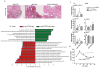 Extended Data Figure 9