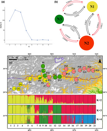 FIGURE 2