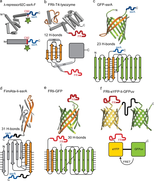 FIGURE 2.