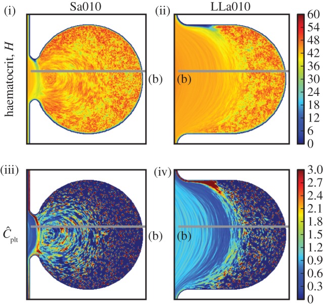 Figure 7.