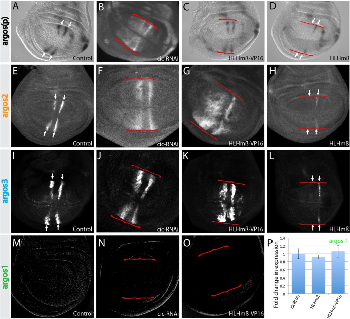 FIG 3