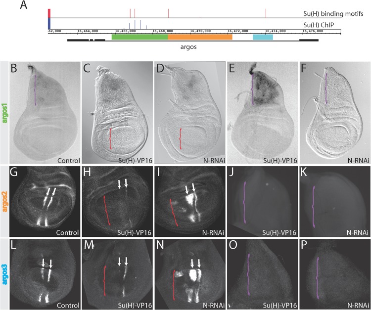 FIG 2