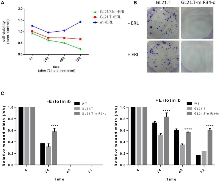 Figure 6