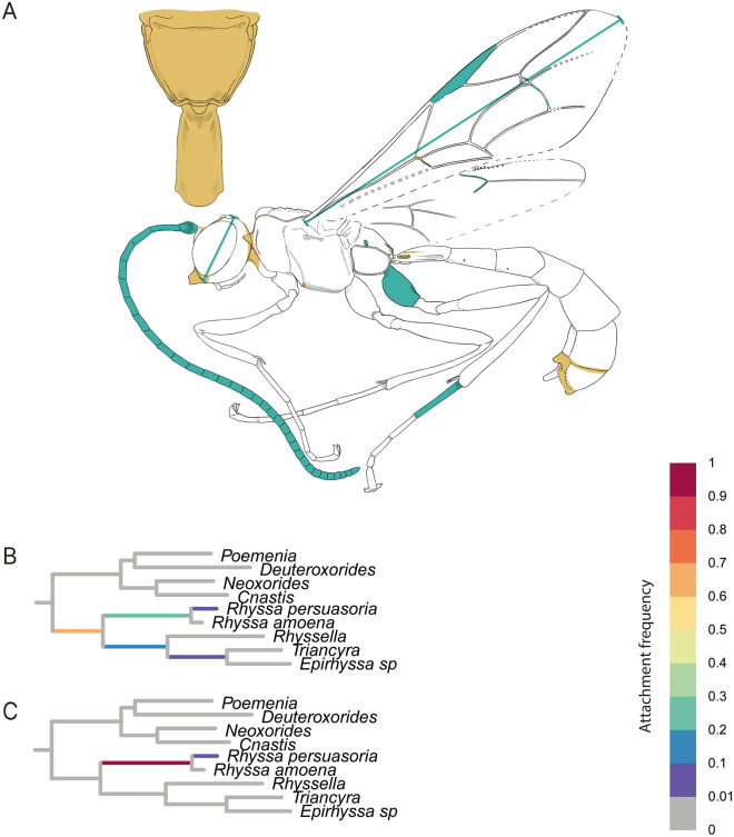 Fig. 4