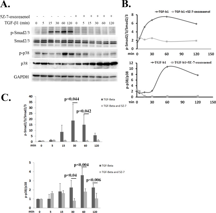 Fig 4