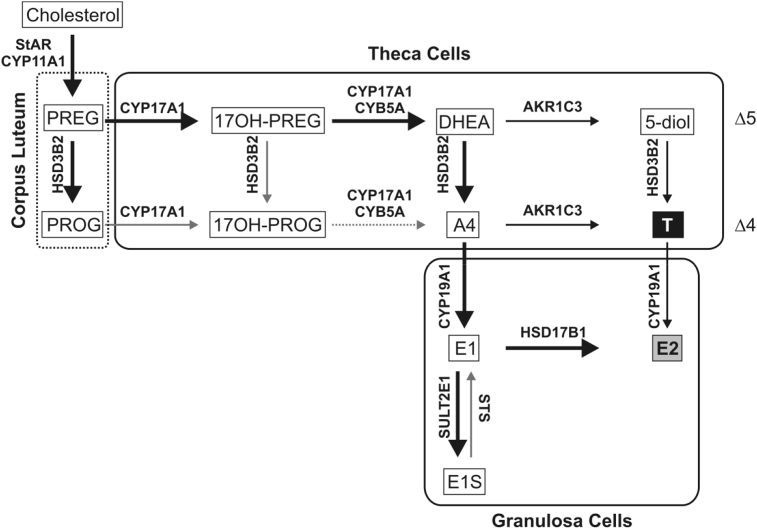 Fig. 3