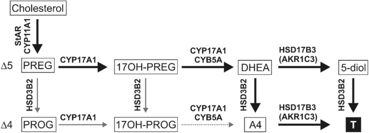 Fig. 4