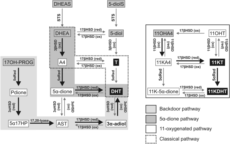 Fig. 6