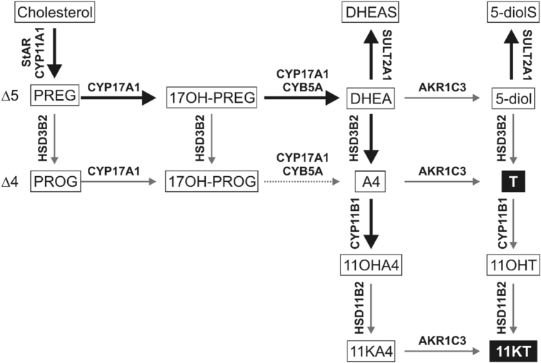 Fig. 2