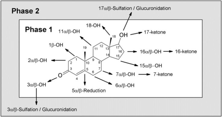 Fig. 7