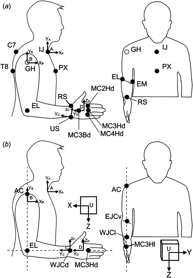 Landmarks needed for Landmark calibration method (a) and postural calibration method (b). (a) In the landmark method, the landmarks given by solid circles are localized with the help of the stylus. The center of the glenohumeral joint (GH, open circle) cannot be palpated and is estimated from shoulder movements. Note that some landmarks, such as the ulnar styloid, should be located in a different posture (see above). (b) In the postural method, the illustrated landmarks are aligned parallel to the axes of the universal frame of the transmitter (U). Laser levels used to aid in this process are depicted as dashed lines. Abbreviations in A and B are defined in Tables 4 and 5, respectively.