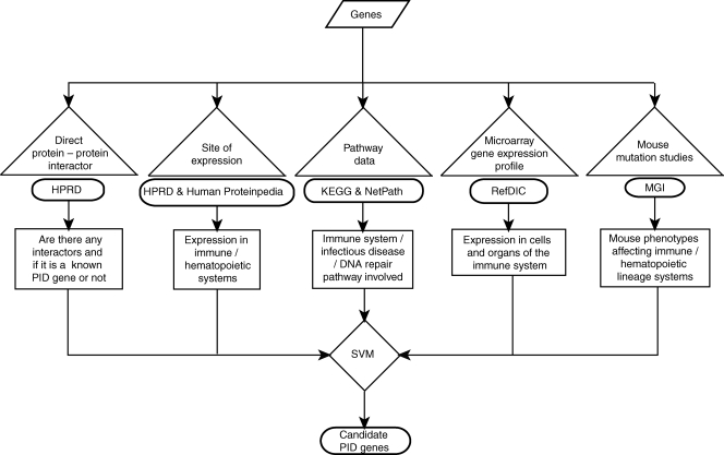 Figure 2