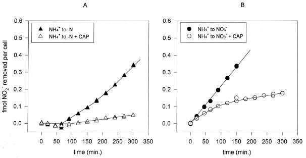 FIG. 8