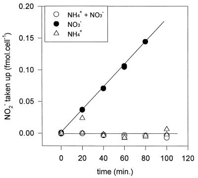 FIG. 6