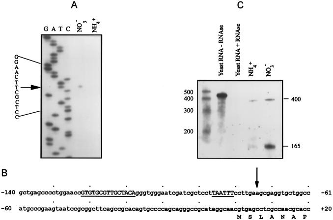 FIG. 5