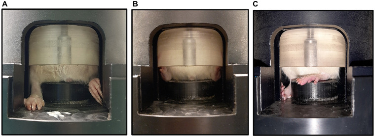 
Figure 5.
