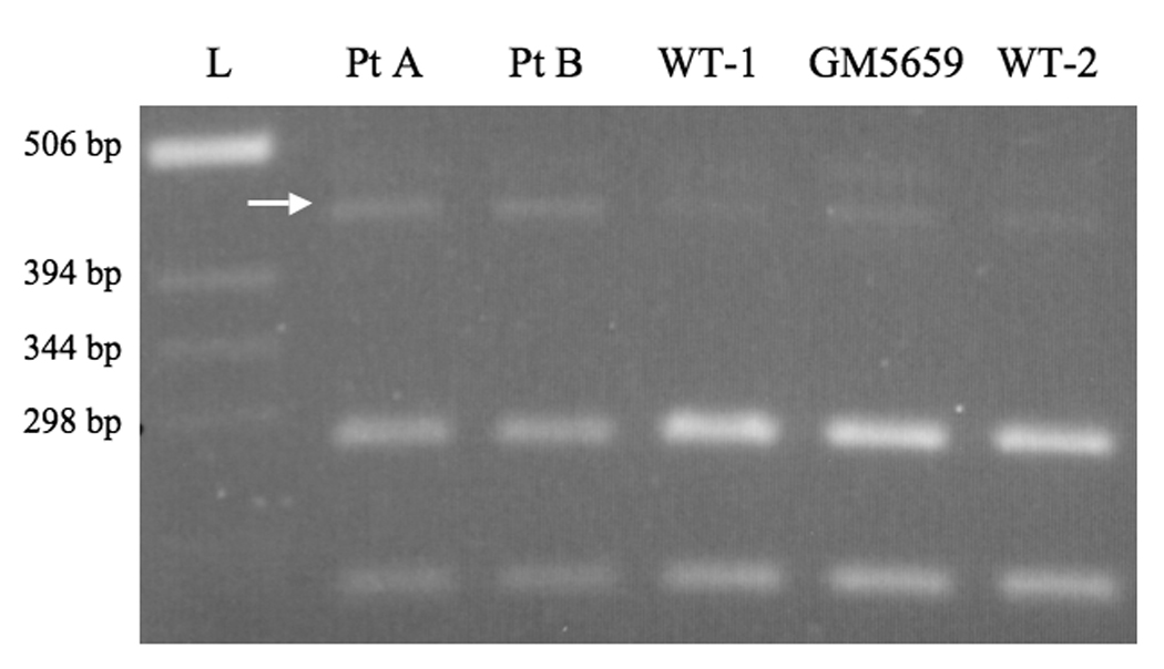 Figure 7