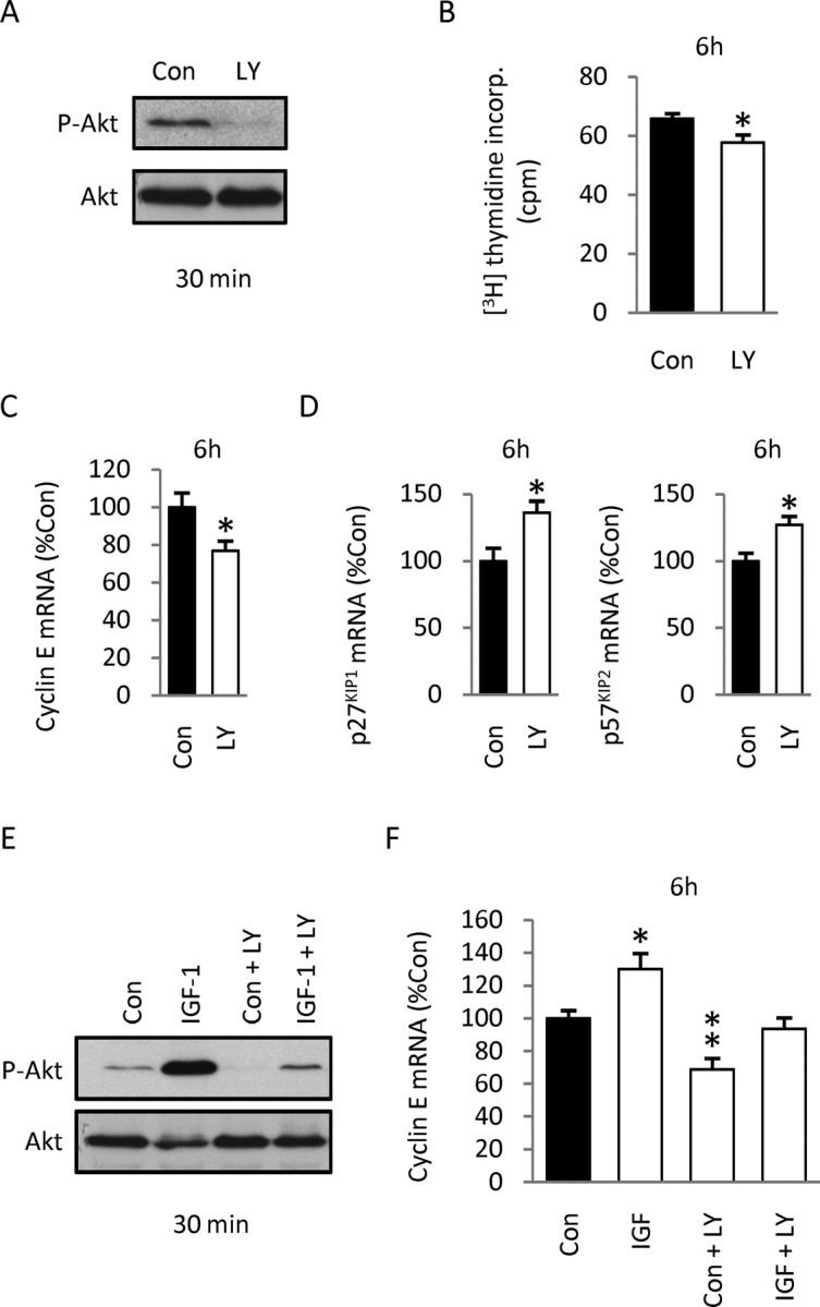 Figure 11.