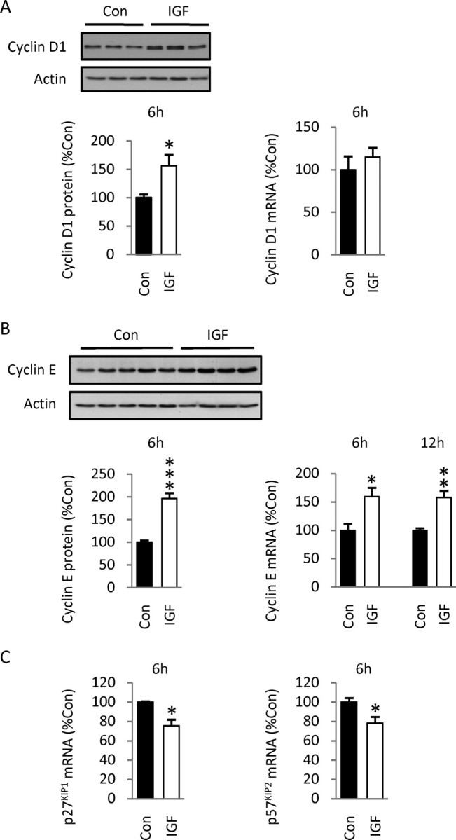 Figure 10.