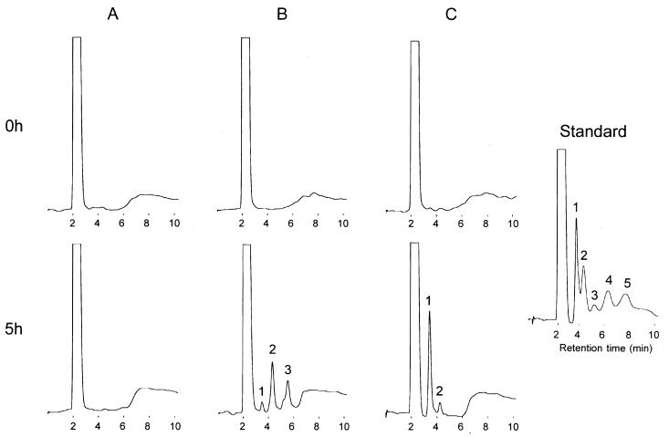 FIG. 2.