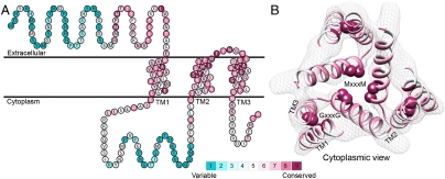 Fig. 1.