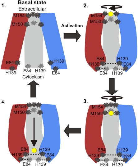 Fig. 6.