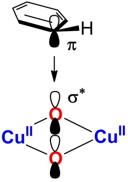 Scheme 5