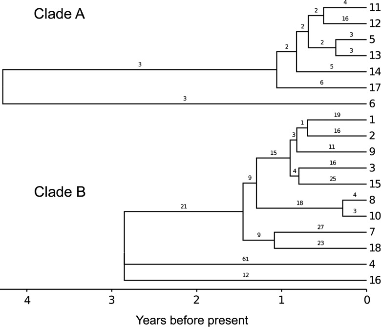 Figure 2