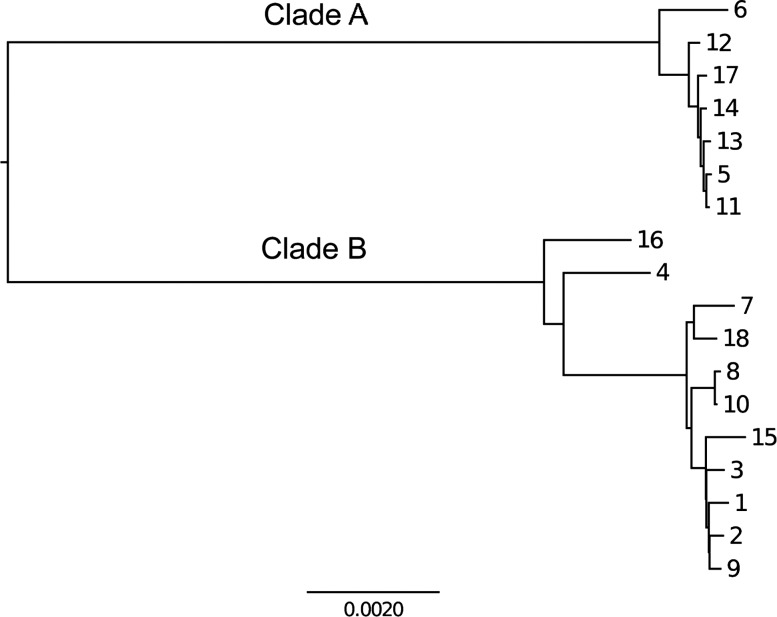 Figure 1