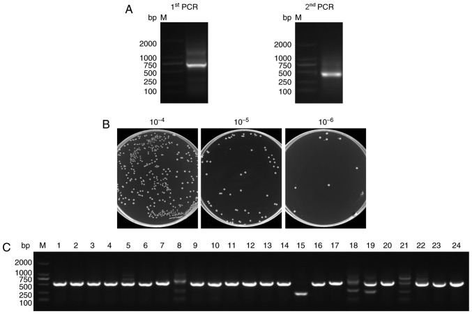 Figure 2.