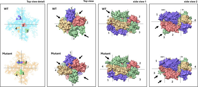 Fig. 10