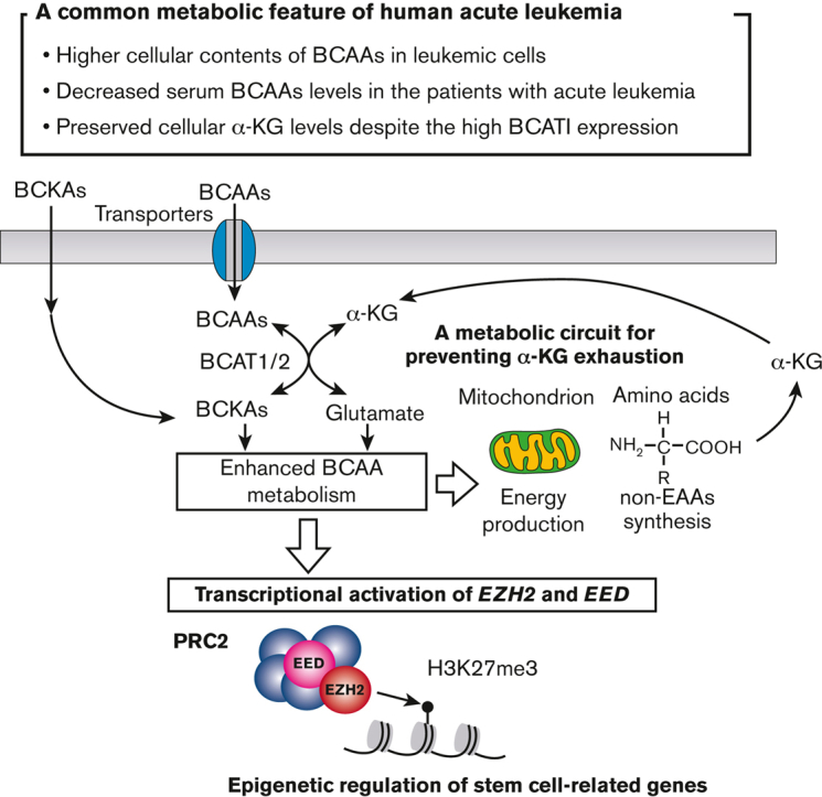 graphic file with name BLOODA_ADV-2022-008242-fx1.jpg