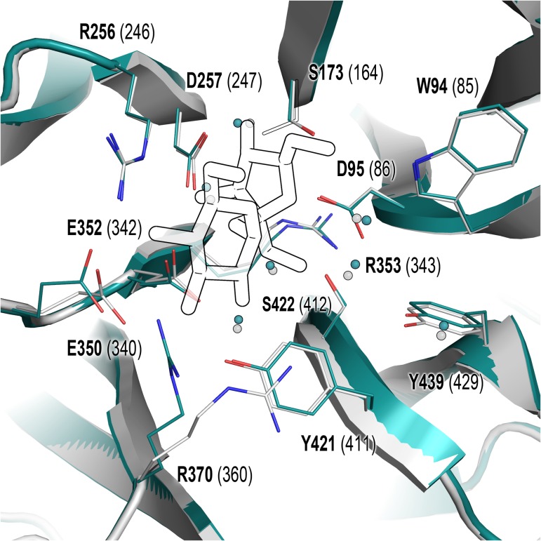 Fig. 1.