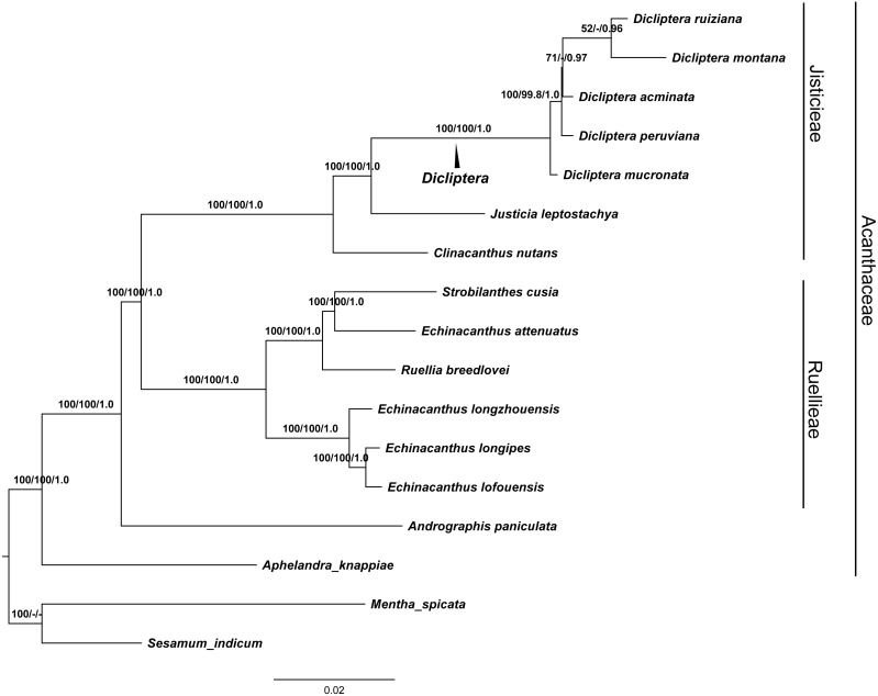 Figure 7