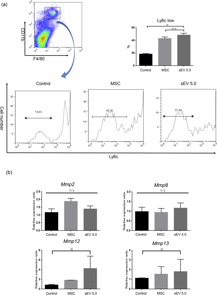 Fig. 6