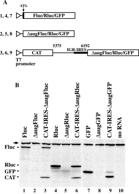 FIG. 3.