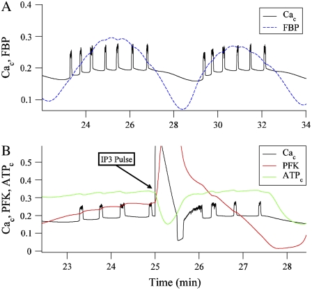 FIGURE 12