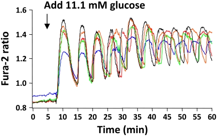 FIGURE 6