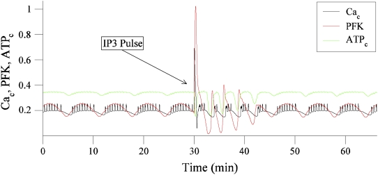 FIGURE 14