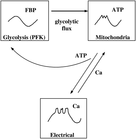 FIGURE 2