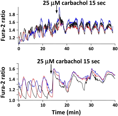 FIGURE 4