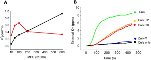 Fig. 6