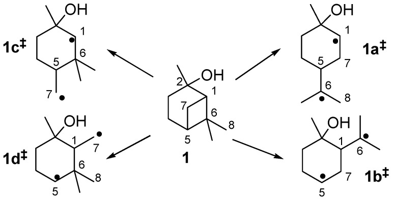 Scheme 4