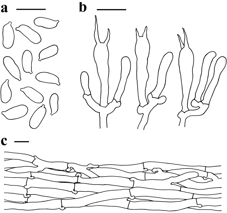 Figure 6.
