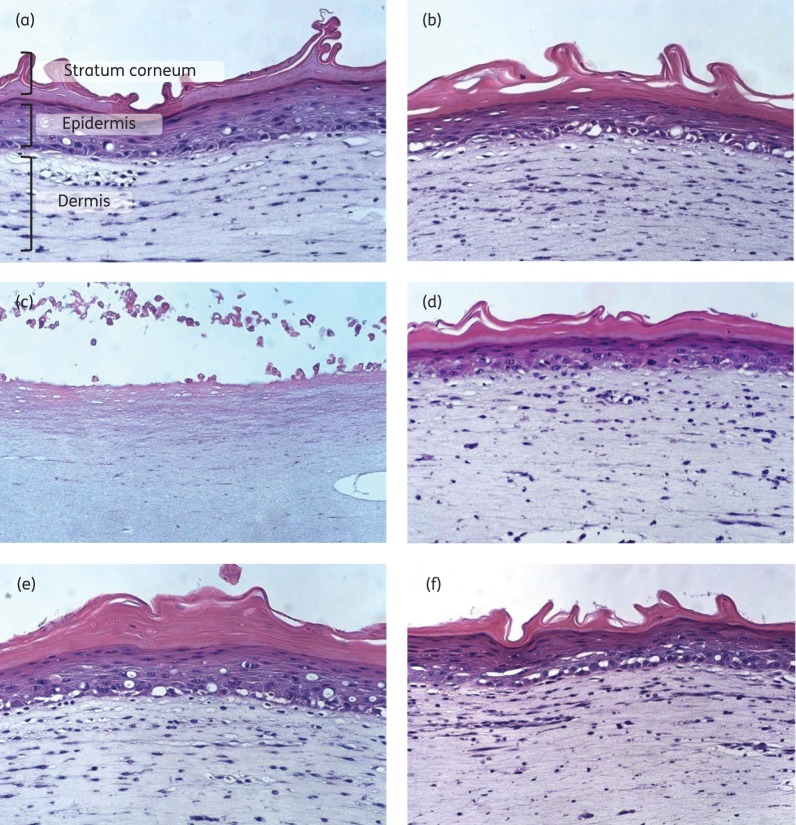 Figure 5.