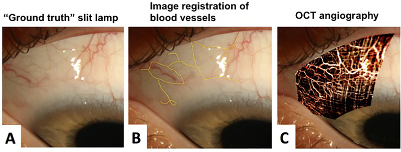 Figure 4.